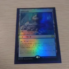 2026年最新】神聖なる泉 Foilの人気アイテム - メルカリ