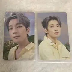 2026年最新】sector ウォヌの人気アイテム - メルカリ