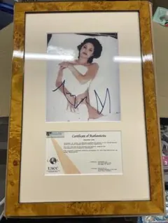 2026年最新】ジョリー サイン アンジェリーナの人気アイテム - メルカリ