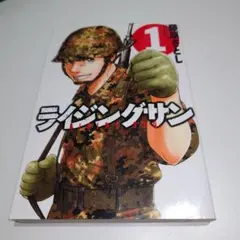 2026年最新】ライジングサン 2．2の人気アイテム - メルカリ