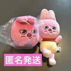 2026年最新】チャンビン ぬいぐるみの人気アイテム - メルカリ