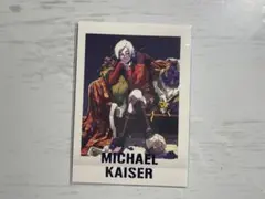 2026年最新】ぱしゃこれ カイザーの人気アイテム - メルカリ