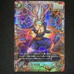 2026年最新】孫悟飯シークレットパラレルの人気アイテム - メルカリ