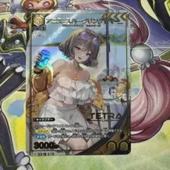 2026年最新】アニス ユニオンアリーナの人気アイテム - メルカリ