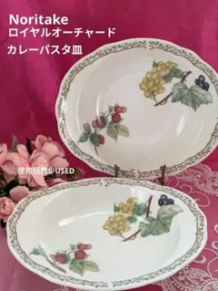 2026年最新】ノリタケロイヤルオーチャードの人気アイテム - メルカリ