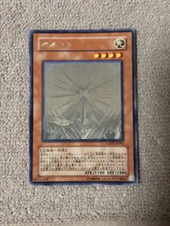 2026年最新】オネスト ホロの人気アイテム - メルカリ