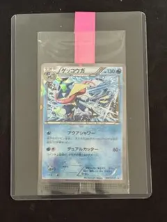 ゲッコウガ：ファミリーマート PROMO XYシリーズプロモーションカード
