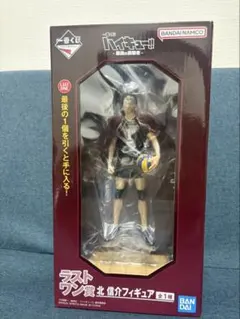 2026年最新】一番くじ ハイキュー フィギュア ラストワンの人気