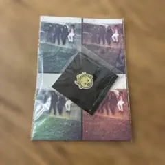 2026年最新】ミスチルくん ピンズの人気アイテム - メルカリ