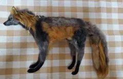 2026年最新】アートドール 作家の人気アイテム - メルカリ