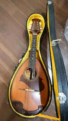 2026年最新】suzuki マンドリンの人気アイテム - メルカリ