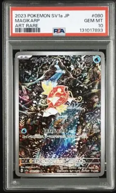 m98348445117_1.jpg?1768259328