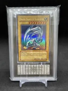 2026年最新】青眼の白龍 ポルトガルの人気アイテム - メルカリ