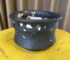 2026年最新】阪本健 鉢の人気アイテム - メルカリ