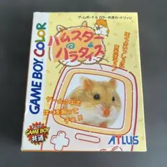 2026年最新】ハムスターパラダイスの人気アイテム - メルカリ