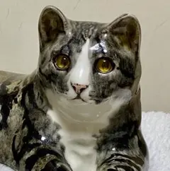 2026年最新】英国 ウィンスタンレイ ケンジントンキャットの人気