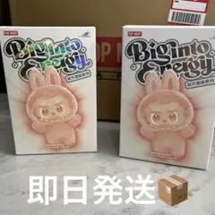 2026年最新】POPMART labubu the monsters シリーズ2の人気アイテム