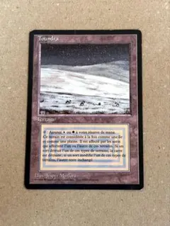 2026年最新】デュアルランドの人気アイテム - メルカリ