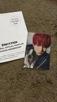 2026年最新】enhypen アンケート トレカ ヒスンの人気アイテム - メルカリ