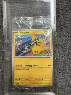 2026年最新】ポケモンワールドチャンピオンシップの人気アイテム