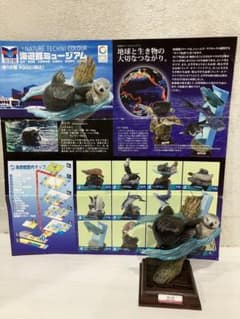 海遊館ミュージアム フルコンプ リーフレット付