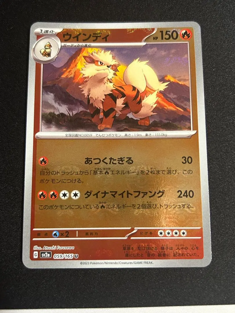 2026年最新】ウインディ マスターボールの人気アイテム - メルカリ