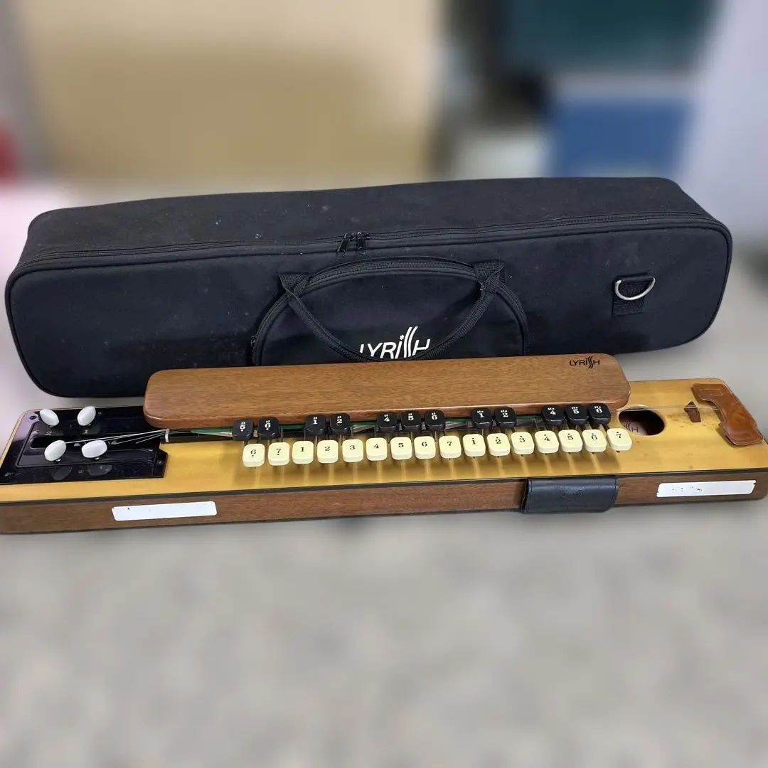 2026年最新】大正琴 ライリッシュの人気アイテム - メルカリ