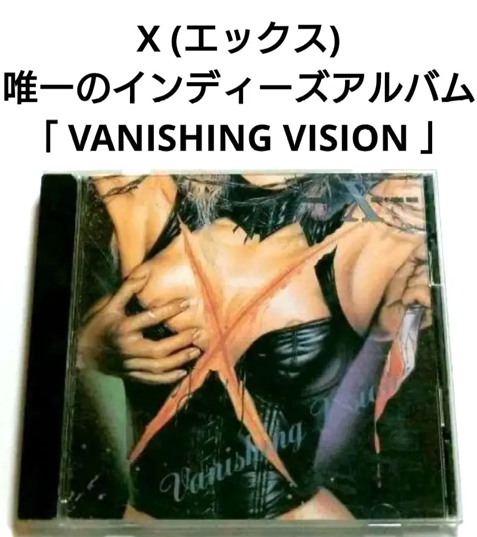 2026年最新】x japan vanishing visionの人気アイテム - メルカリ
