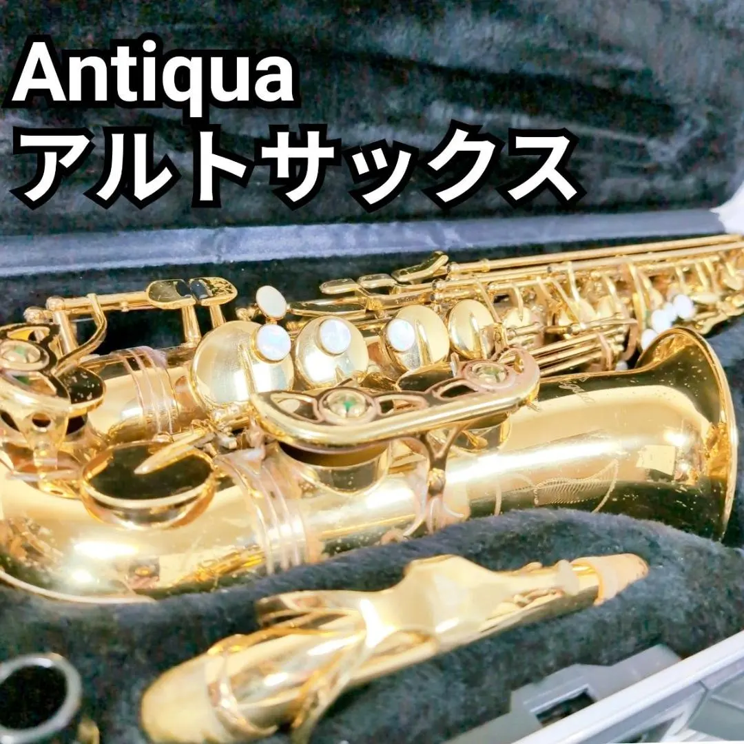 2026年最新】antigua サックスの人気アイテム - メルカリ