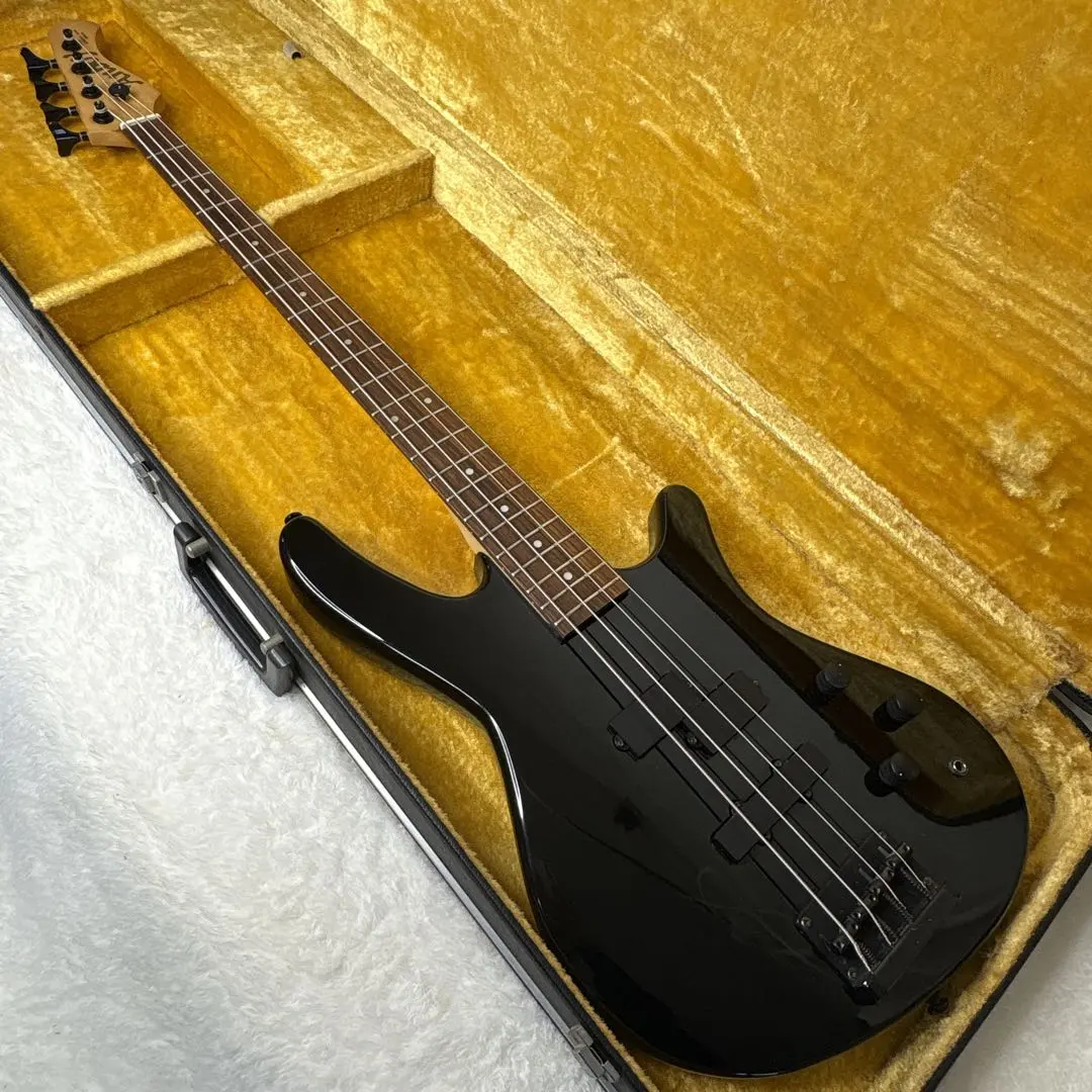 2026年最新】anboy ギターの人気アイテム - メルカリ