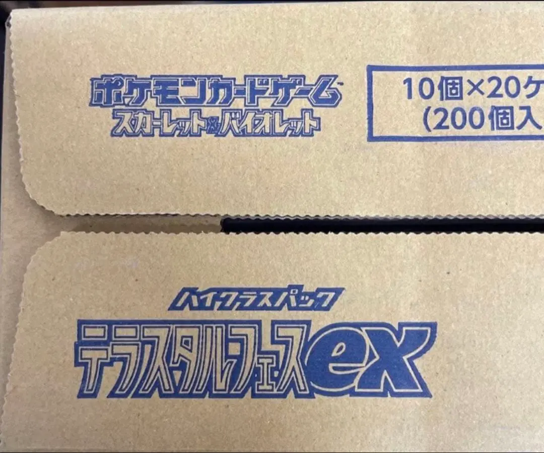 2026年最新】テラスタル カートンの人気アイテム - メルカリ