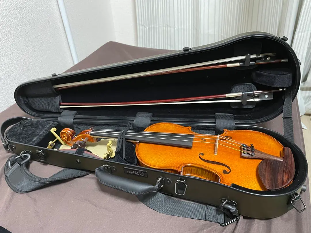 2026年最新】バイオリン GLIGAの人気アイテム - メルカリ