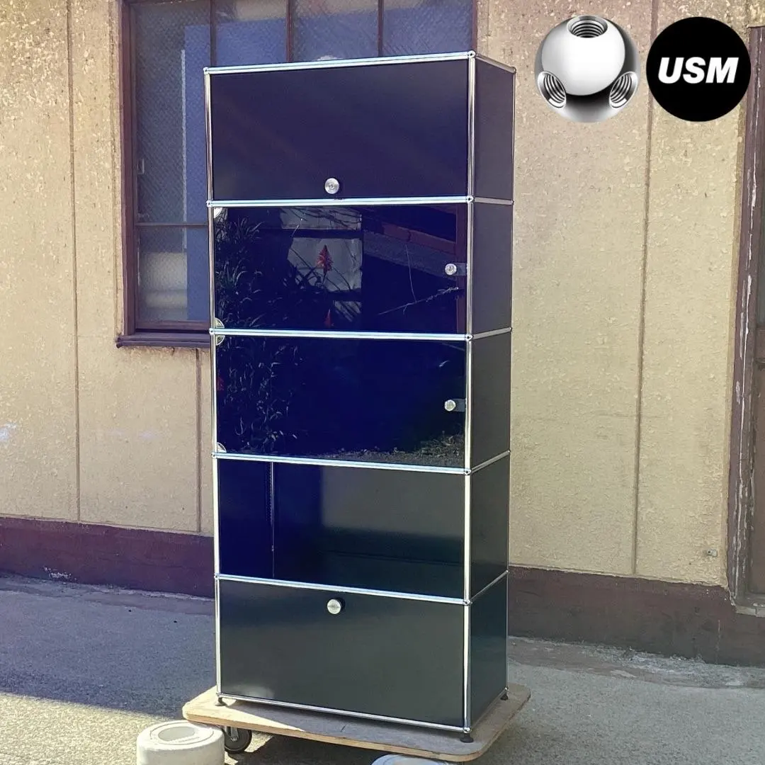 2026年最新】usmハラー ガラスの人気アイテム - メルカリ