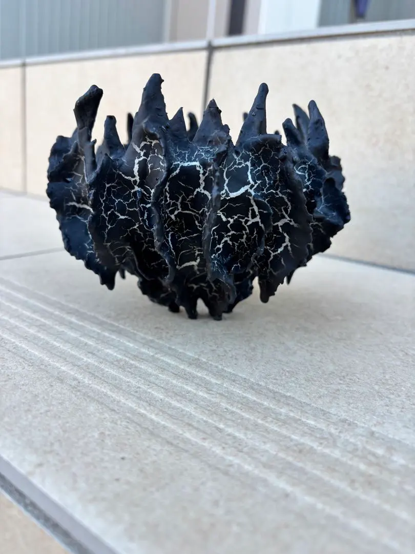 2026年最新】five elements plantsの人気アイテム - メルカリ