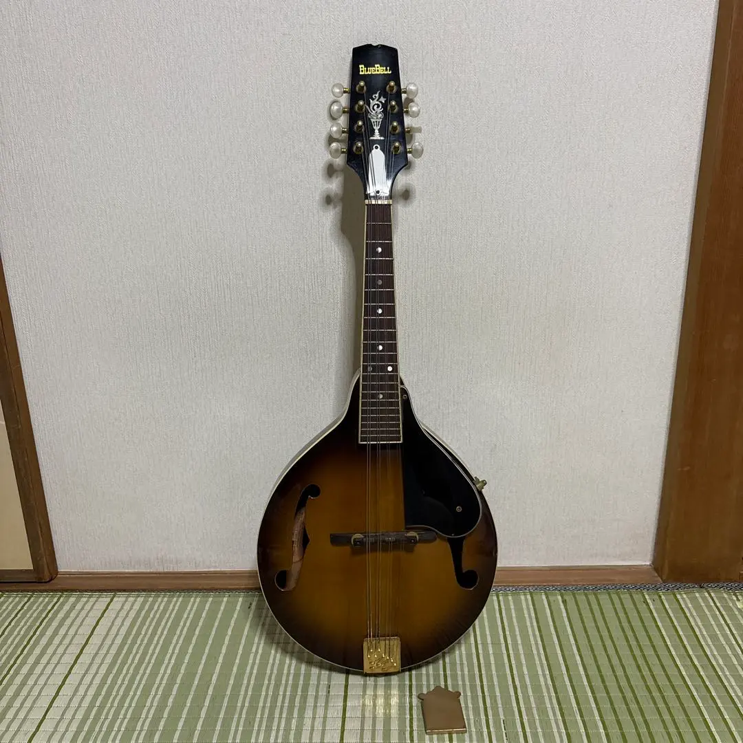 2026年最新】blue bell ギターの人気アイテム - メルカリ
