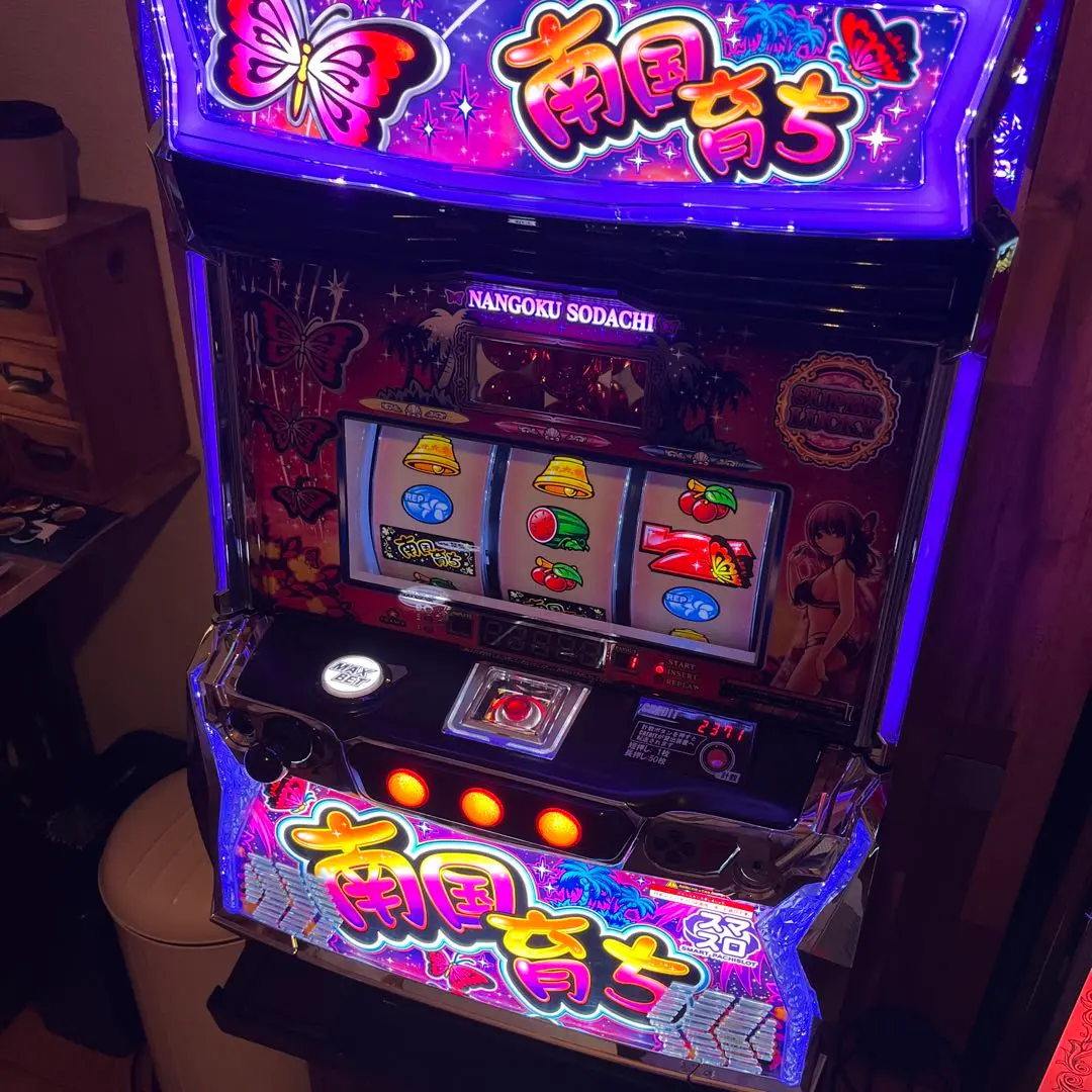 2026年最新】南国育ち実機の人気アイテム - メルカリ