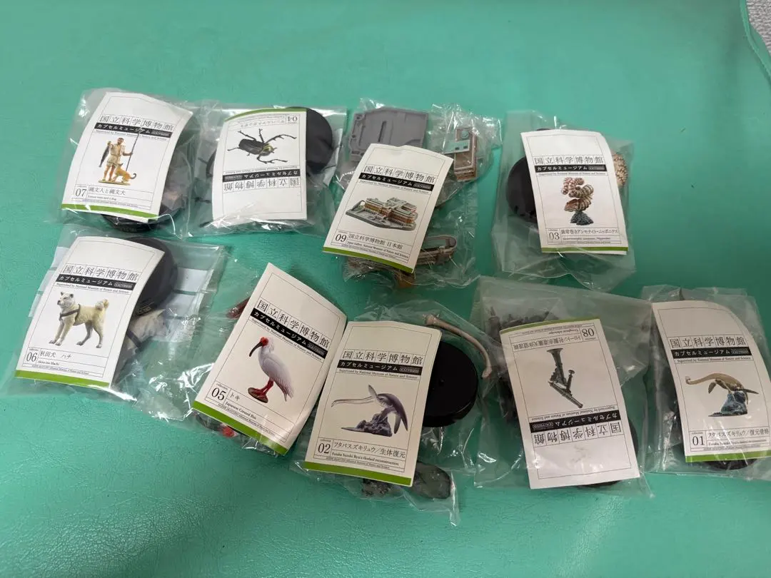 2026年最新】海洋堂 国立科学博物館の人気アイテム - メルカリ
