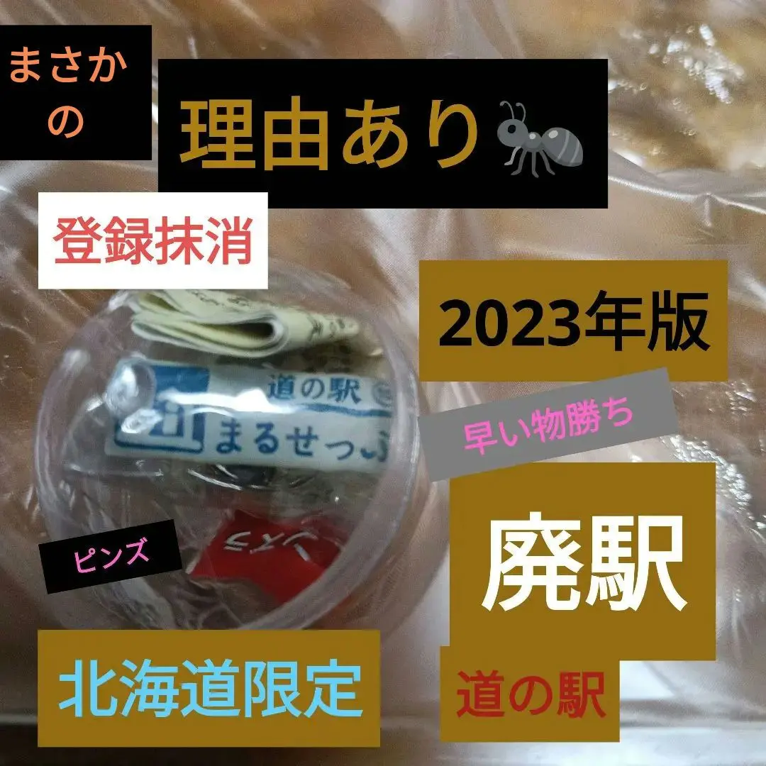 2026年最新】北海道道の駅丸瀬布ピンズの人気アイテム - メルカリ