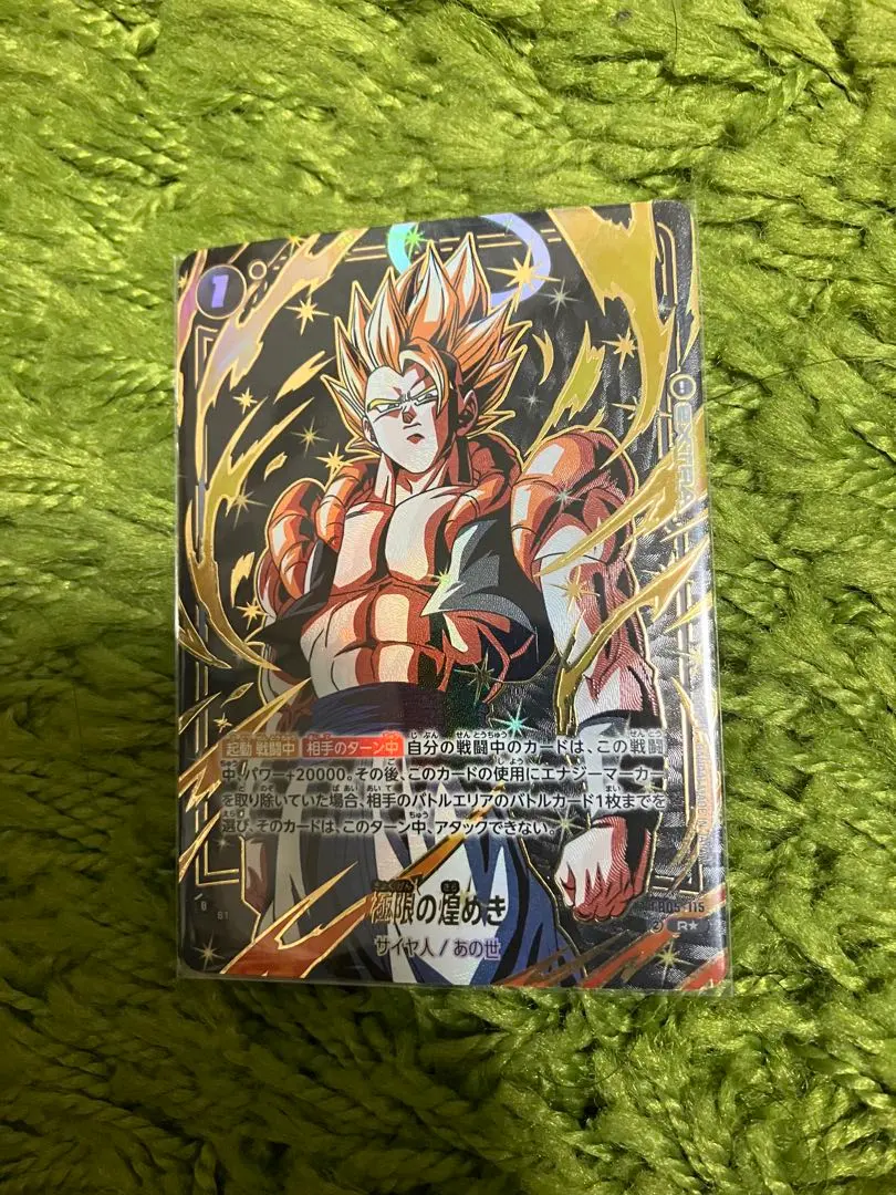 2026年最新】極限の煌めき FB05-115の人気アイテム - メルカリ