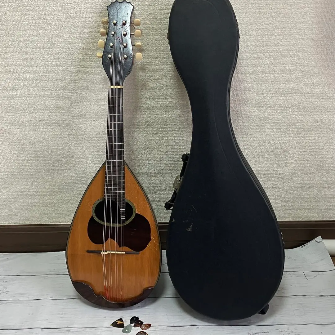 2026年最新】渡辺 マンドリンの人気アイテム - メルカリ