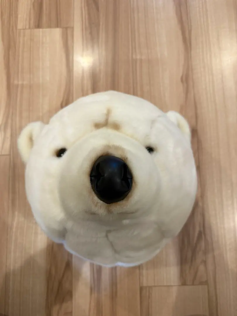 2026年最新】シロクマ 剥製の人気アイテム - メルカリ