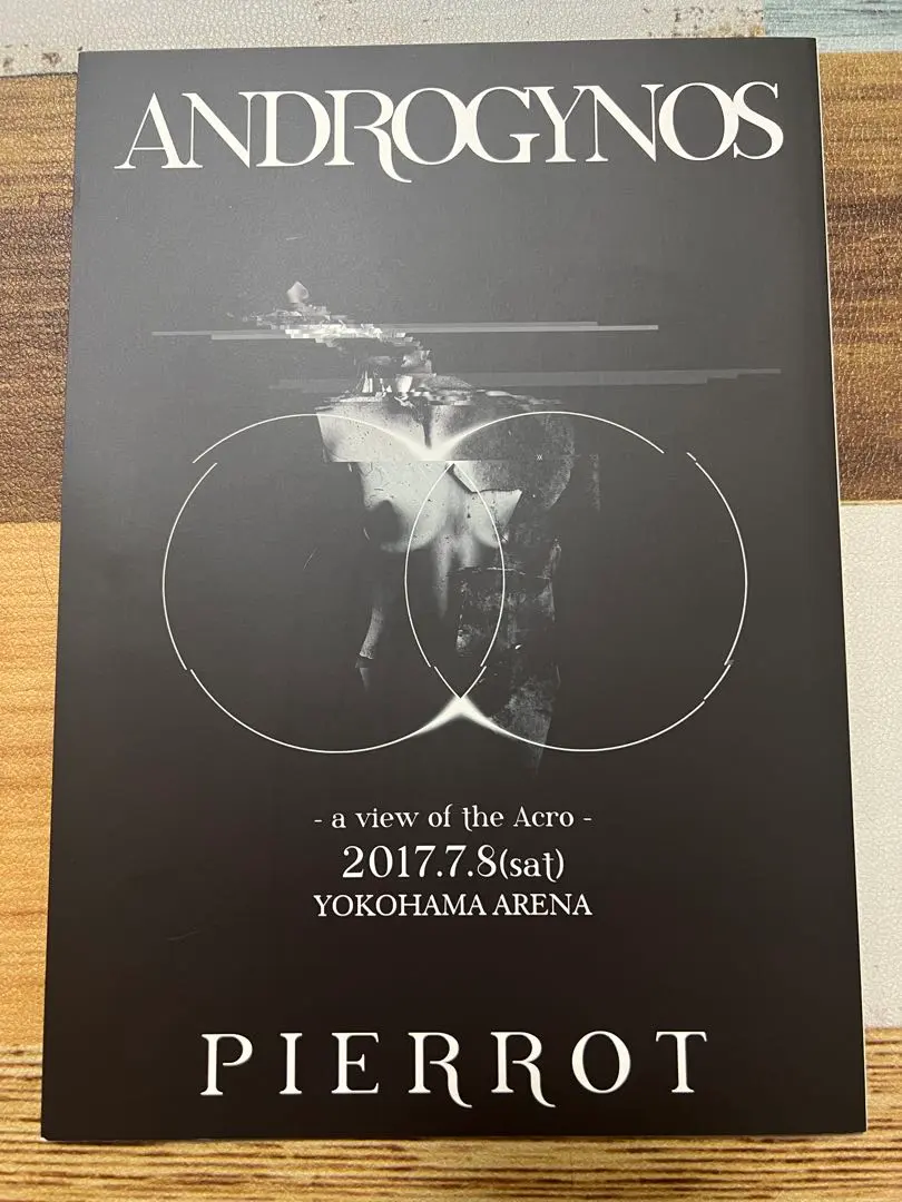 2026年最新】アンドロジナス パンフレットの人気アイテム - メルカリ