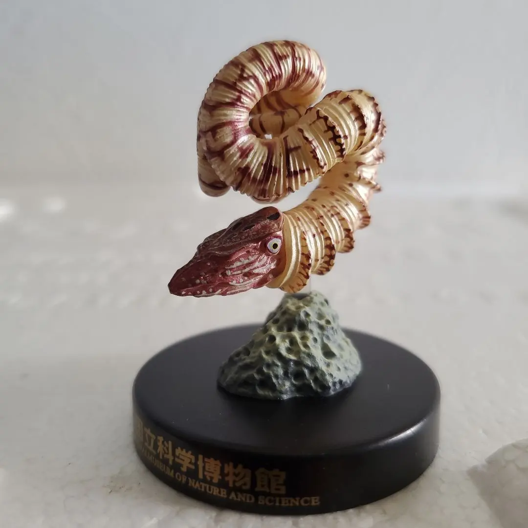 2026年最新】海洋堂 国立科学博物館の人気アイテム - メルカリ