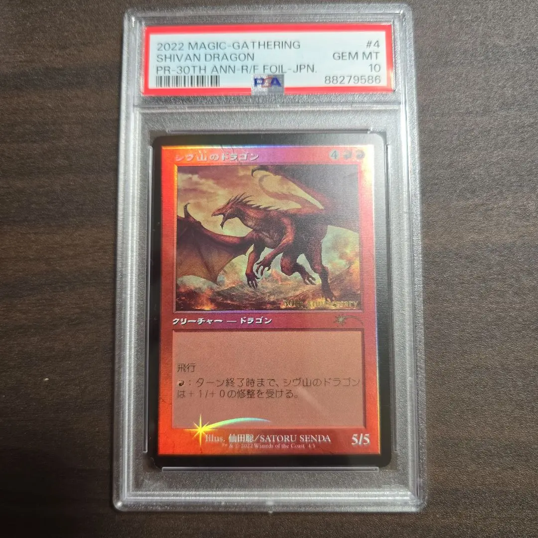 2026年最新】シヴ山のドラゴンの人気アイテム - メルカリ