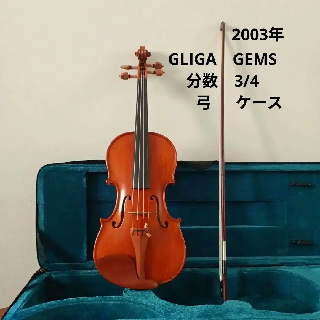 2026年最新】gliga バイオリンの人気アイテム - メルカリ