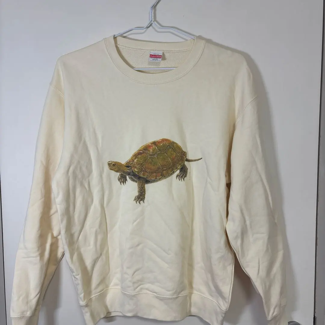 2026年最新】いしがめ」の人気アイテム - メルカリ