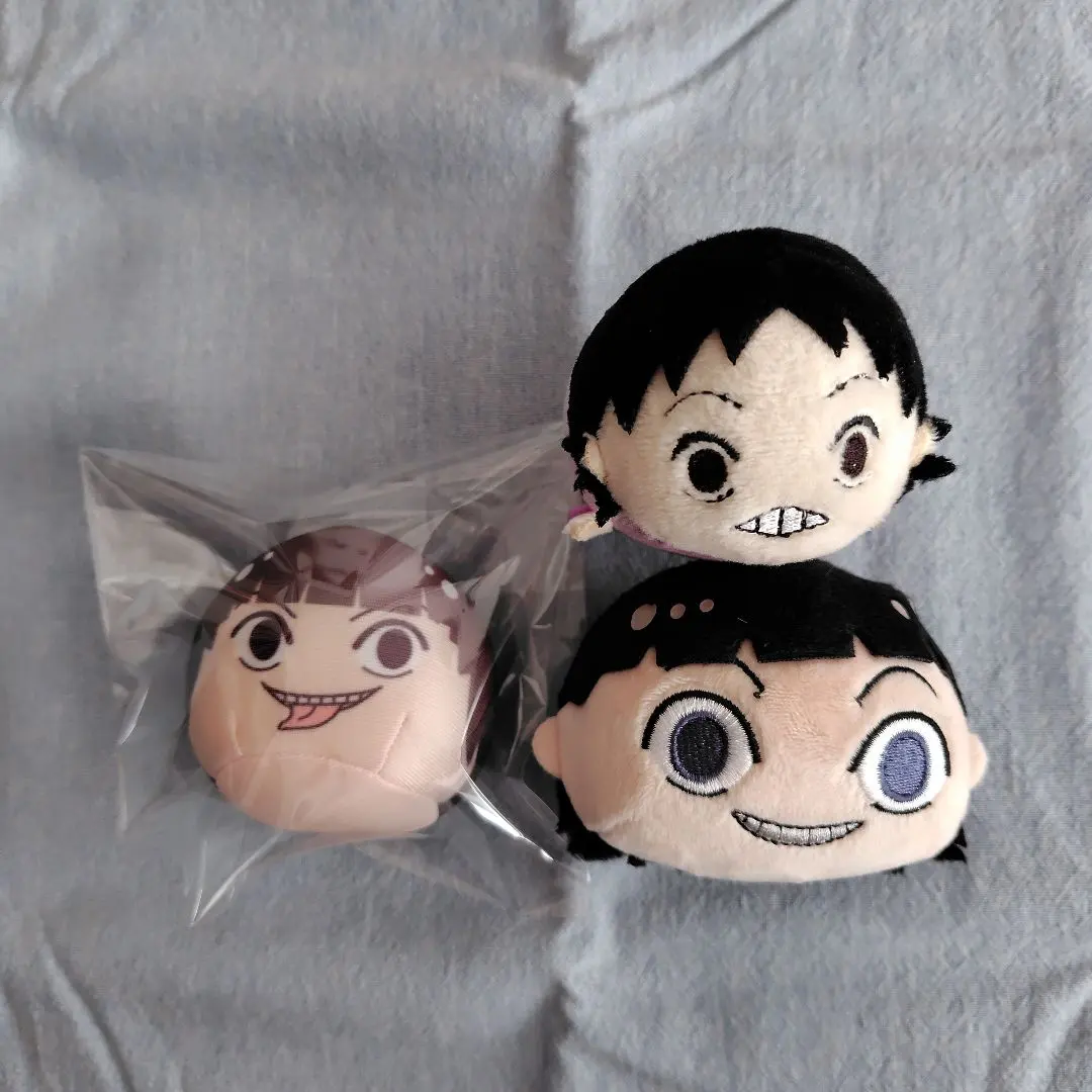 m21538433443_1.jpg?1767431905