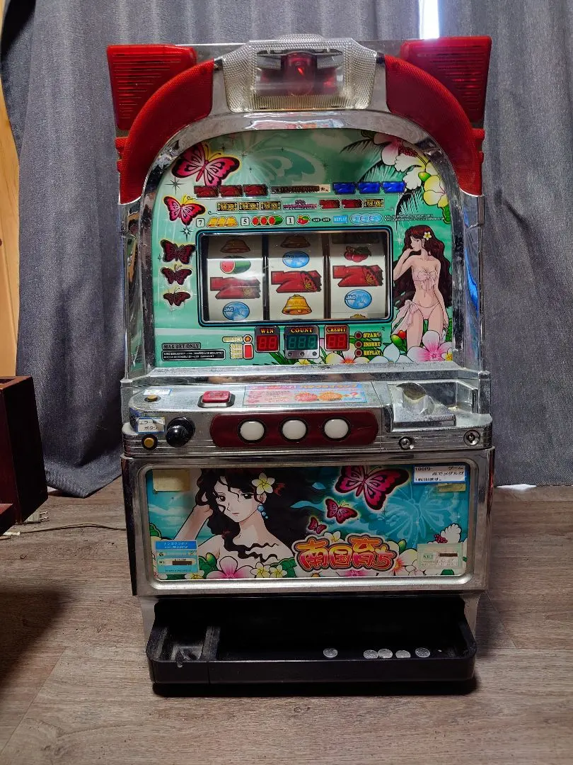 2026年最新】南国育ち4号機の人気アイテム - メルカリ