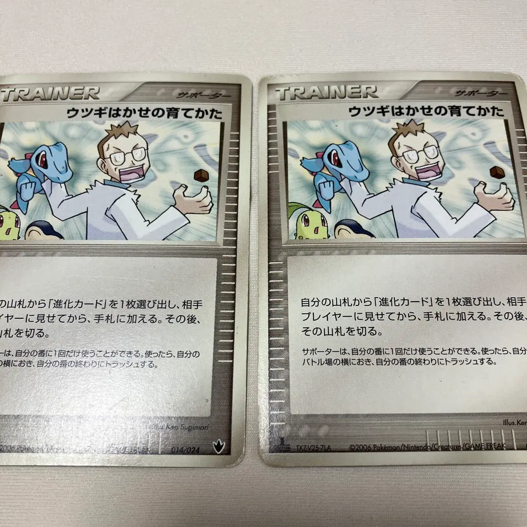 2026年最新】ポケモンカード ウツギはかせの育てかた 023/L-P プロモの