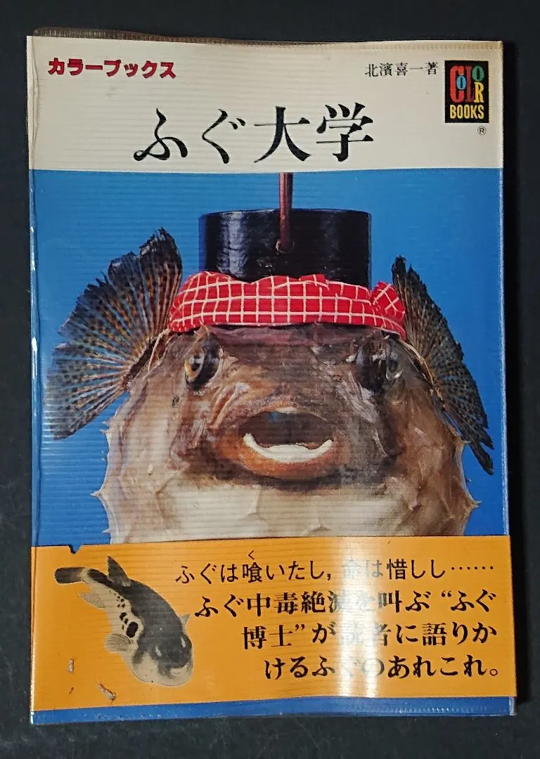 2026年最新】フグ標本の人気アイテム - メルカリ